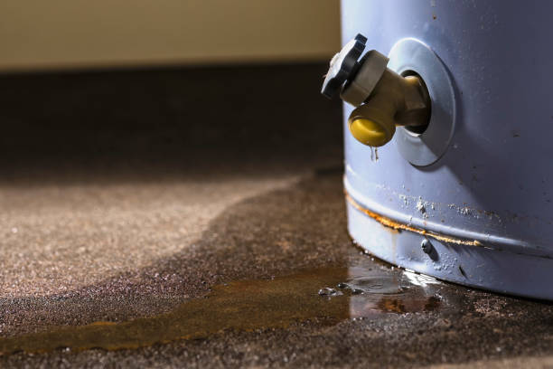 Best 24-hour water damage restoration  in Blair, WI