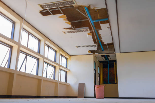 Best Local water damage restoration  in Blair, WI