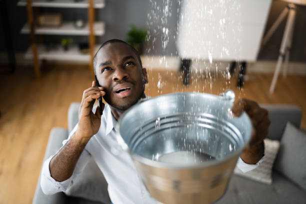 Best Flooded house restoration  in Blair, WI