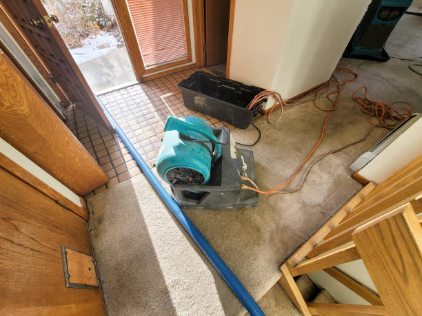 Best 24/7 water damage repair  in Blair, WI