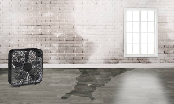 Best Commercial water damage restoration  in Blair, WI