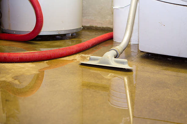 Best Flood restoration services  in Blair, WI
