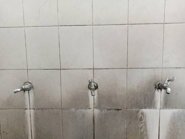 Best Commercial water damage restoration  in Blair, WI