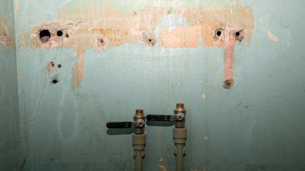 Best Flood restoration services  in Blair, WI