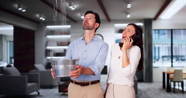 Best Professional water damage repair  in Blair, WI