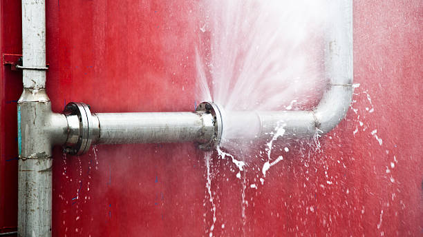 Best Flood restoration services  in Blair, WI